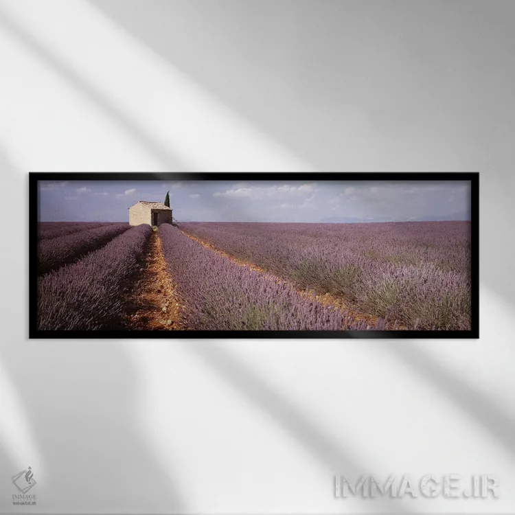 تابلو Valensole, Provence-Alpes-Cote d'Azur, France,ساختمان تنها در مزرعه اسطوخودوس، والانسل، پروونس-آلپ-کوت دازور، فرانسه اثر پانورامیک ایمجز (استودیو عکاسی عریض) - نمای قابدار مشکی