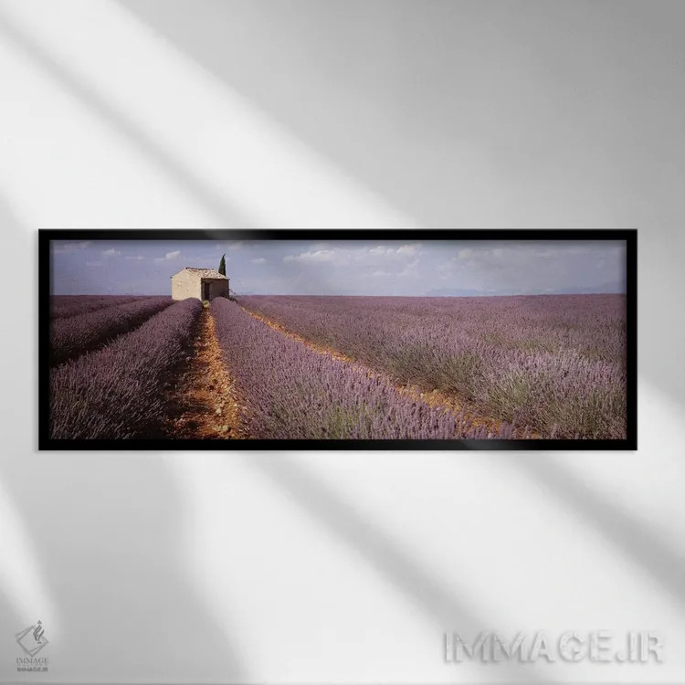 تابلو Valensole, Provence-Alpes-Cote d'Azur, France,ساختمان تنها در مزرعه اسطوخودوس، والانسل، پروونس-آلپ-کوت دازور، فرانسه اثر پانورامیک ایمجز (استودیو عکاسی عریض) - نمای قابدار مشکی