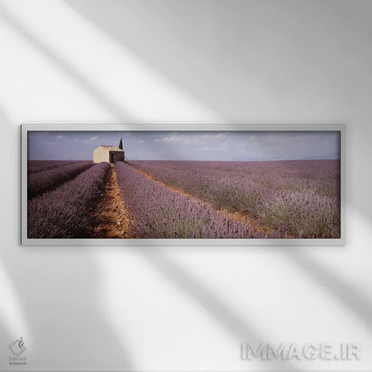 تابلو Valensole, Provence-Alpes-Cote d'Azur, France,ساختمان تنها در مزرعه اسطوخودوس، والانسل، پروونس-آلپ-کوت دازور، فرانسه اثر پانورامیک ایمجز (استودیو عکاسی عریض) - نمای قابدار سفید
