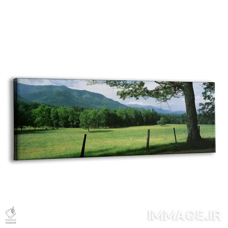 تابلو Cades Cove, Great Smoky Mountains National Park, Tennessee, USA,مرغزار تقسیم‌بندی شده، کیدز کوو، پارک ملی کوه‌های اسموکی بزرگ، تنسی، آمریکا اثر پانورامیک ایمجز (استودیو عکاسی عریض) - نمای پرسپکتیو محصول