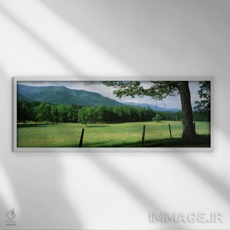 تابلو Cades Cove, Great Smoky Mountains National Park, Tennessee, USA,مرغزار تقسیمبندی شده، کیدز کوو، پارک ملی کوههای اسموکی بزرگ، تنسی، آمریکا اثر پانورامیک ایمجز (استودیو عکاسی عریض) - نمای قابدار سفید