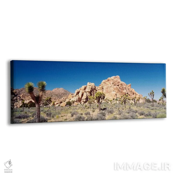 تابلو Joshua Tree National Park, California, USA,تشکیل سنگی، پارک ملی جاشوا تری، کالیفرنیا، آمریکا اثر پانورامیک ایمجز (استودیو عکاسی عریض) - نمای پرسپکتیو محصول
