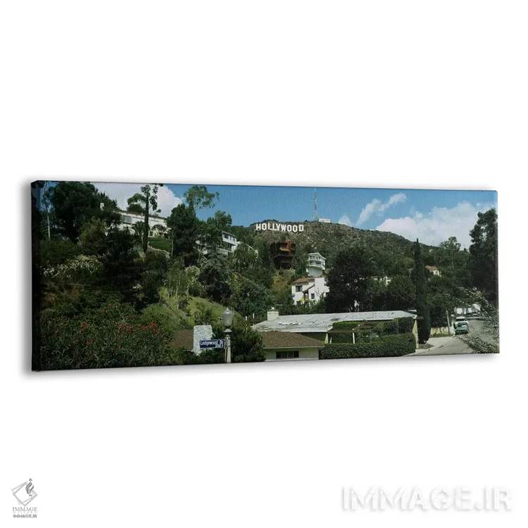 تابلو City of Los Angeles, California, USA,نمای زاویه پایین از تپه‌ها، هالیوود هیلز، لس‌آنجلس، کالیفرنیا، آمریکا اثر پانورامیک ایمجز (استودیو عکاسی عریض) - نمای پرسپکتیو محصول
