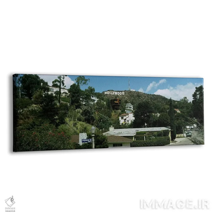 تابلو City of Los Angeles, California, USA,نمای زاویه پایین از تپهها، هالیوود هیلز، لسآنجلس، کالیفرنیا، آمریکا اثر پانورامیک ایمجز (استودیو عکاسی عریض) - نمای پرسپکتیو محصول