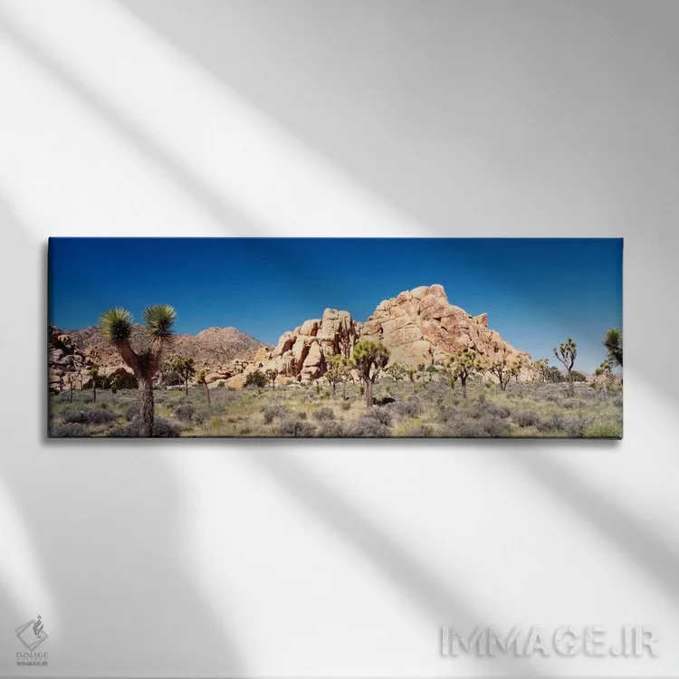 تابلو Joshua Tree National Park, California, USA,تشکیل سنگی، پارک ملی جاشوا تری، کالیفرنیا، آمریکا اثر پانورامیک ایمجز (استودیو عکاسی عریض) - نمای روبهرو روی دیوار