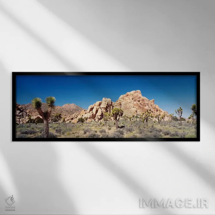 تابلو Joshua Tree National Park, California, USA,تشکیل سنگی، پارک ملی جاشوا تری، کالیفرنیا، آمریکا اثر پانورامیک ایمجز (استودیو عکاسی عریض) - نمای قابدار مشکی