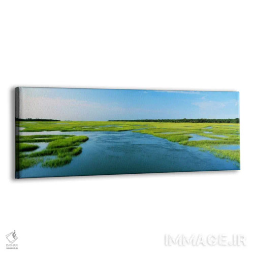 تابلو Atlantic Coast, Jacksonville, Florida, USA,علف دریایی زیر آب، ساحل آتلانتیک، جکسونویل، فلوریدا، آمریکا اثر پانورامیک ایمجز (استودیو عکاسی عریض) - نمای پرسپکتیو محصول