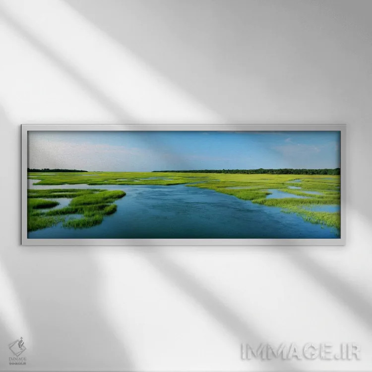تابلو Atlantic Coast, Jacksonville, Florida, USA,علف دریایی زیر آب، ساحل آتلانتیک، جکسونویل، فلوریدا، آمریکا اثر پانورامیک ایمجز (استودیو عکاسی عریض) - نمای قابدار سفید