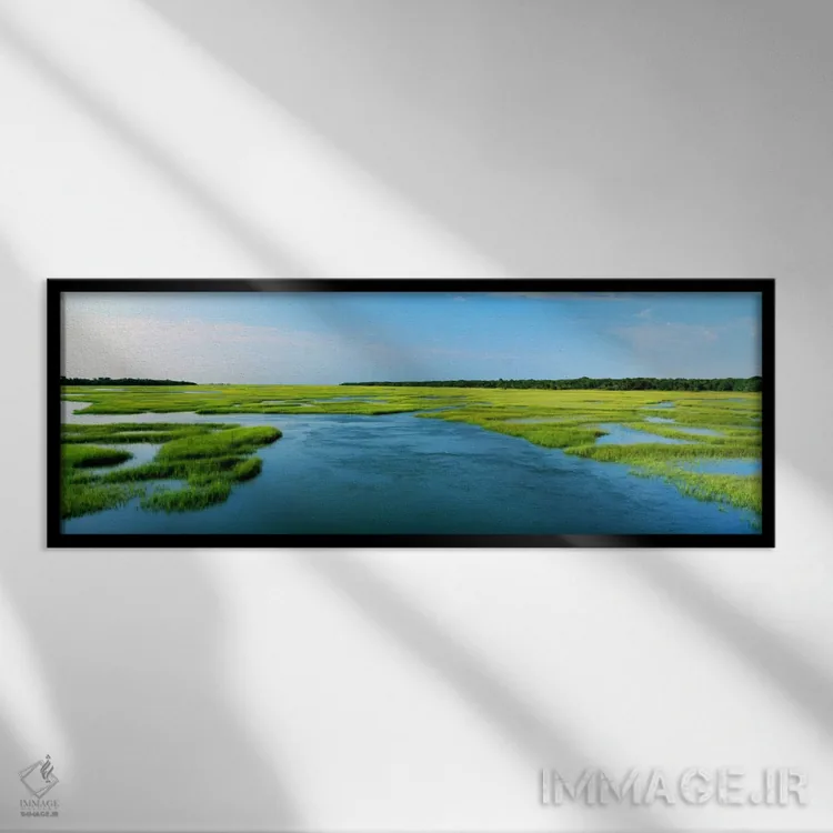 تابلو Atlantic Coast, Jacksonville, Florida, USA,علف دریایی زیر آب، ساحل آتلانتیک، جکسونویل، فلوریدا، آمریکا اثر پانورامیک ایمجز (استودیو عکاسی عریض) - نمای قابدار مشکی
