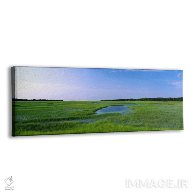 تابلو Florida, Jacksonville, Atlantic Coast, Salt Marshes,آمریکا، فلوریدا، جکسونویل، ساحل آتلانتیک، باتلاقهای شور اثر پانورامیک ایمجز (استودیو عکاسی عریض) - نمای پرسپکتیو محصول