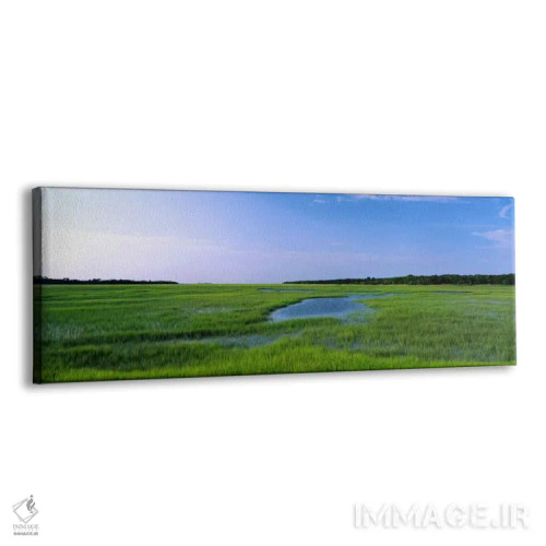 تابلو Florida, Jacksonville, Atlantic Coast, Salt Marshes,آمریکا، فلوریدا، جکسونویل، ساحل آتلانتیک، باتلاقهای شور اثر پانورامیک ایمجز (استودیو عکاسی عریض) - نمای پرسپکتیو محصول