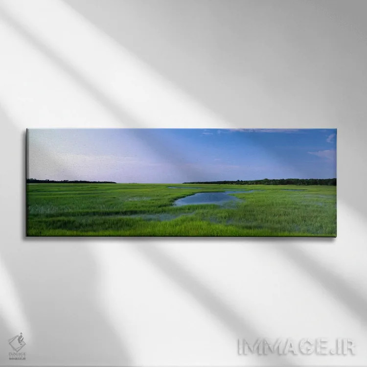تابلو Florida, Jacksonville, Atlantic Coast, Salt Marshes,آمریکا، فلوریدا، جکسونویل، ساحل آتلانتیک، باتلاقهای شور اثر پانورامیک ایمجز (استودیو عکاسی عریض) - نمای روبهرو روی دیوار