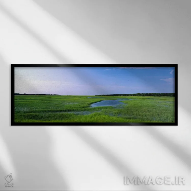 تابلو Florida, Jacksonville, Atlantic Coast, Salt Marshes,آمریکا، فلوریدا، جکسونویل، ساحل آتلانتیک، باتلاقهای شور اثر پانورامیک ایمجز (استودیو عکاسی عریض) - نمای قابدار مشکی