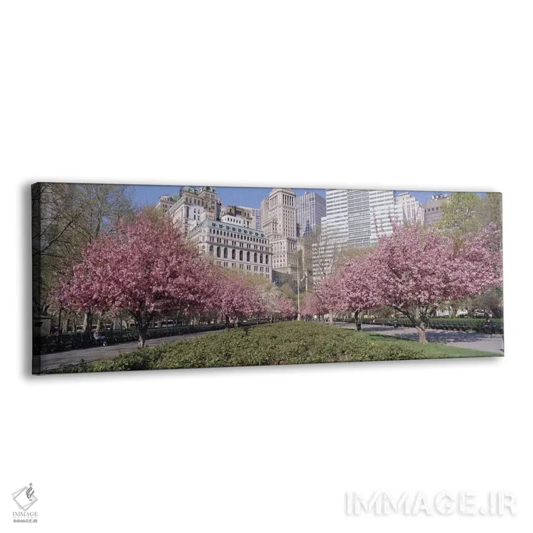 تابلو Battery Park, New York City, New York, USA,درختان گیلاس، پارک باتری، نیویورک سیتی، نیویورک، آمریکا اثر پانورامیک ایمجز (استودیو عکاسی عریض) - نمای پرسپکتیو محصول