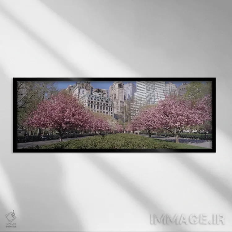 تابلو Battery Park, New York City, New York, USA,درختان گیلاس، پارک باتری، نیویورک سیتی، نیویورک، آمریکا اثر پانورامیک ایمجز (استودیو عکاسی عریض) - نمای قابدار مشکی