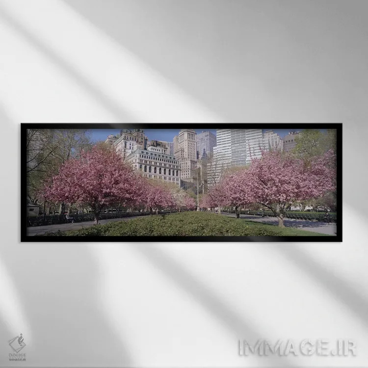 تابلو Battery Park, New York City, New York, USA,درختان گیلاس، پارک باتری، نیویورک سیتی، نیویورک، آمریکا اثر پانورامیک ایمجز (استودیو عکاسی عریض) - نمای قابدار مشکی