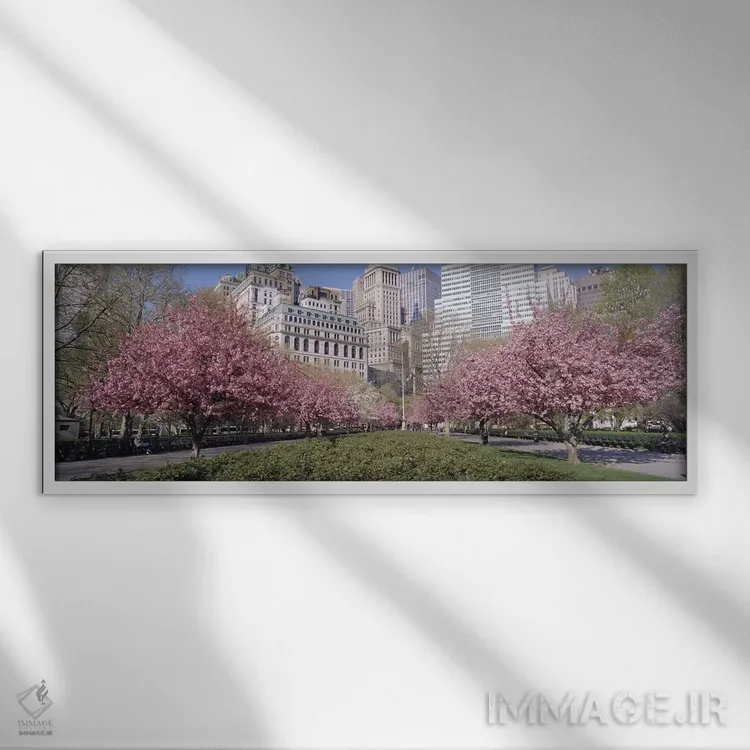 تابلو Battery Park, New York City, New York, USA,درختان گیلاس، پارک باتری، نیویورک سیتی، نیویورک، آمریکا اثر پانورامیک ایمجز (استودیو عکاسی عریض) - نمای قابدار سفید