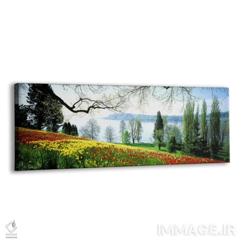 تابلو Mainau (Flower Island), Germany,گلها نزدیک خط ساحلی، مایناو (جزیره گلها)، آلمان اثر پانورامیک ایمجز (استودیو عکاسی عریض) - نمای پرسپکتیو محصول