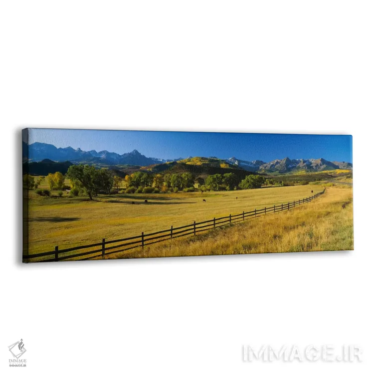 تابلو Colorado, USA,درختان در دشتی، کلرادو، آمریکا اثر پانورامیک ایمجز (استودیو عکاسی عریض) - نمای پرسپکتیو محصول