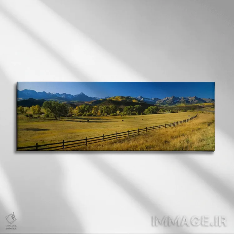 تابلو Colorado, USA,درختان در دشتی، کلرادو، آمریکا اثر پانورامیک ایمجز (استودیو عکاسی عریض) - نمای روبهرو روی دیوار
