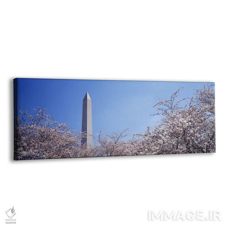 تابلو Washington DC, USA,بنای یادبود واشنگتن پشت درختان شکوفه گیلاس، واشنگتن دیسی، آمریکا اثر پانورامیک ایمجز (استودیو عکاسی عریض) - نمای پرسپکتیو محصول