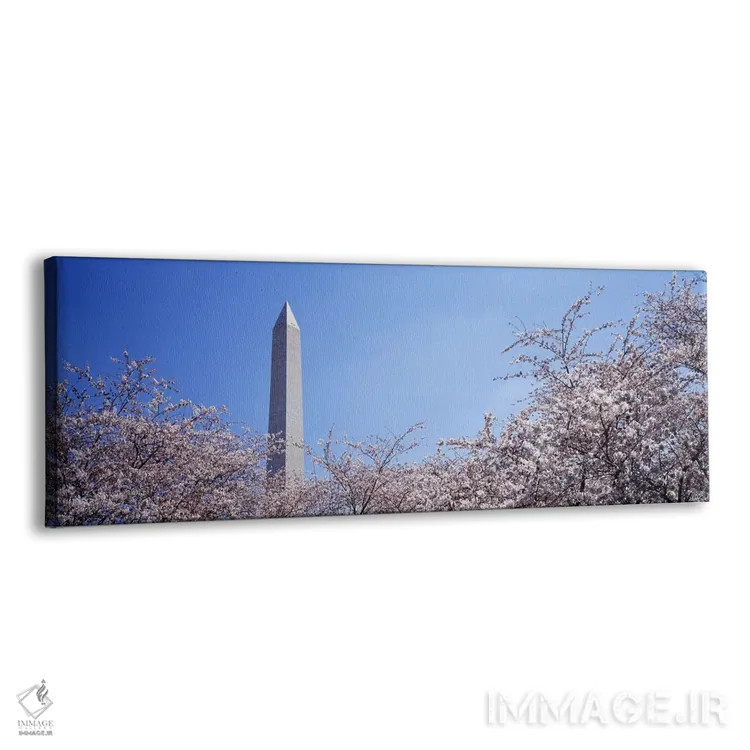 تابلو Washington DC, USA,بنای یادبود واشنگتن پشت درختان شکوفه گیلاس، واشنگتن دیسی، آمریکا اثر پانورامیک ایمجز (استودیو عکاسی عریض) - نمای پرسپکتیو محصول