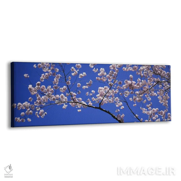 تابلو شکوفههای گیلاس، واشنگتن دیسی، آمریکا اثر پانورامیک ایمجز (استودیو عکاسی عریض) - نمای پرسپکتیو محصول