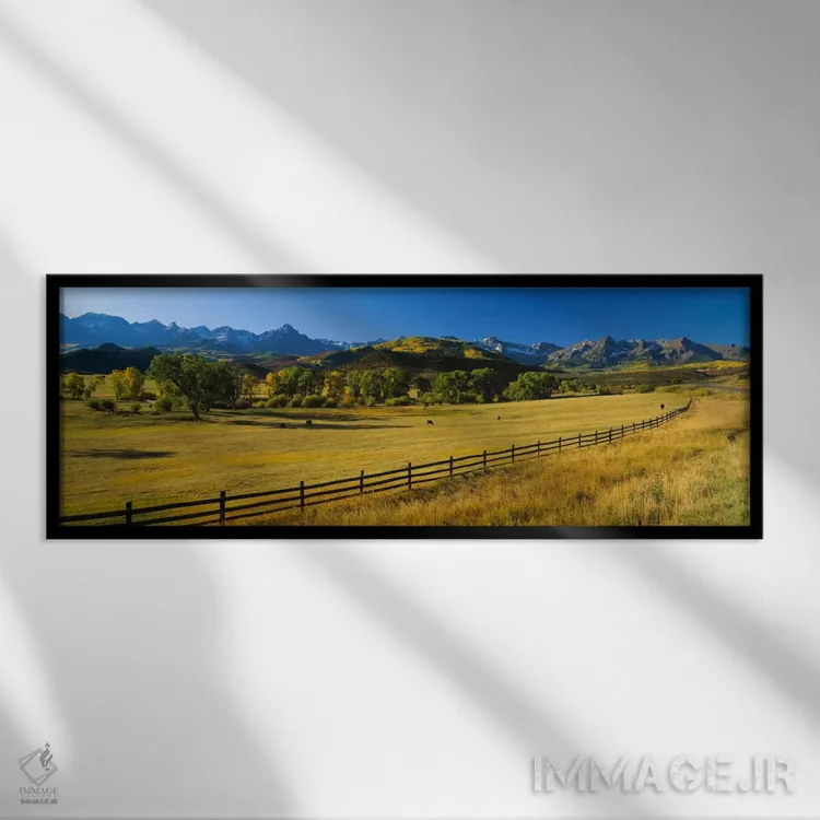 تابلو Colorado, USA,درختان در دشتی، کلرادو، آمریکا اثر پانورامیک ایمجز (استودیو عکاسی عریض) - نمای قابدار مشکی