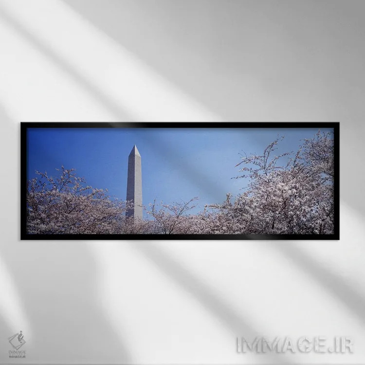 تابلو Washington DC, USA,بنای یادبود واشنگتن پشت درختان شکوفه گیلاس، واشنگتن دیسی، آمریکا اثر پانورامیک ایمجز (استودیو عکاسی عریض) - نمای قابدار مشکی
