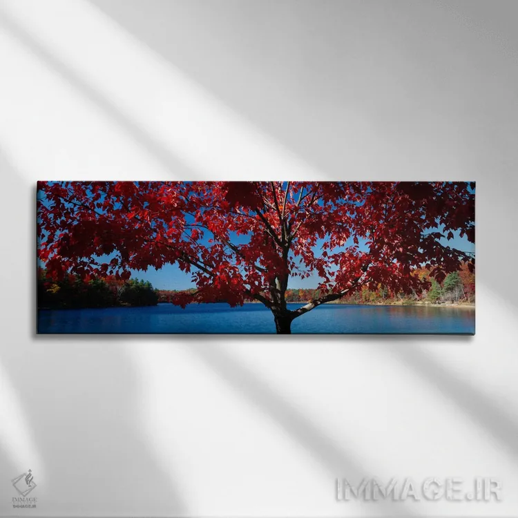 تابلو Walden Pond, Concord, Massachusetts, USA,نمای نزدیک از یک درخت، برکه والدن، کنکورد، ماساچوست، آمریکا اثر پانورامیک ایمجز (استودیو عکاسی عریض) - نمای روبهرو روی دیوار