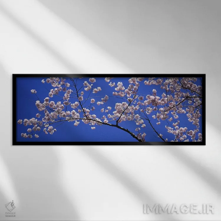 تابلو شکوفههای گیلاس، واشنگتن دیسی، آمریکا اثر پانورامیک ایمجز (استودیو عکاسی عریض) - نمای قابدار مشکی