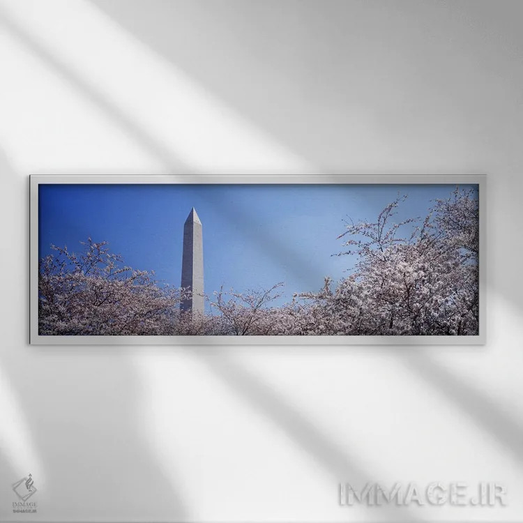 تابلو Washington DC, USA,بنای یادبود واشنگتن پشت درختان شکوفه گیلاس، واشنگتن دیسی، آمریکا اثر پانورامیک ایمجز (استودیو عکاسی عریض) - نمای قابدار سفید