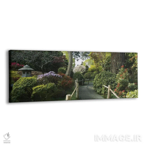 تابلو San Francisco, California, USA,باغ چای ژاپنی، سانفرانسیسکو، کالیفرنیا، آمریکا اثر پانورامیک ایمجز (استودیو عکاسی عریض) - نمای پرسپکتیو محصول