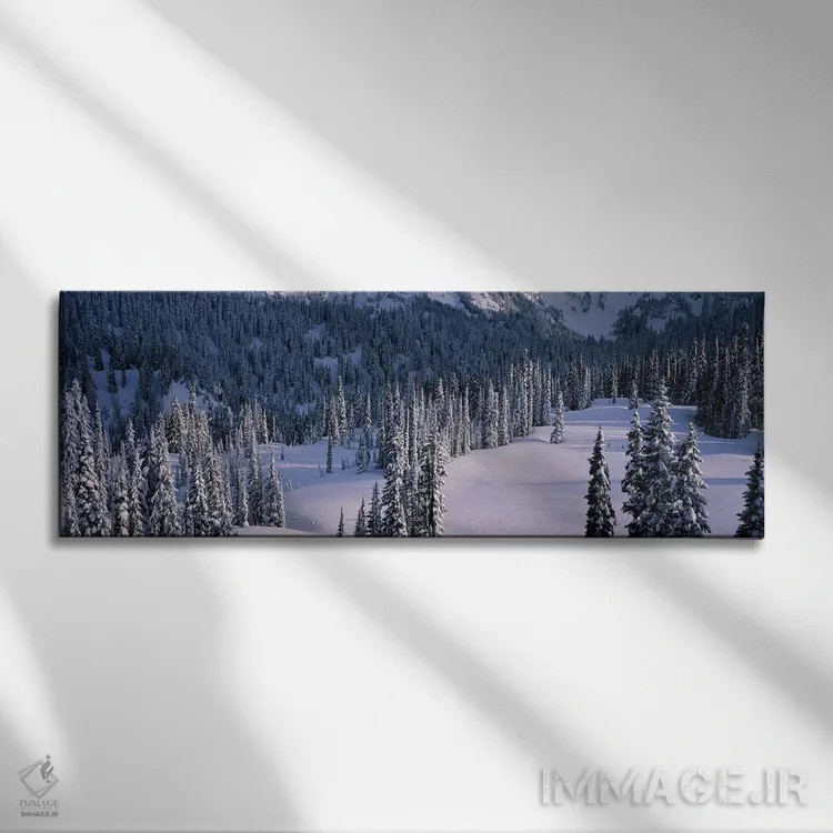 تابلو Mount Rainier National Park, Washington State, USA,درختان صنوبر، پارک ملی مونت رینیر، ایالت واشینگتن، آمریکا اثر پانورامیک ایمجز (استودیو عکاسی عریض) - نمای روبهرو روی دیوار