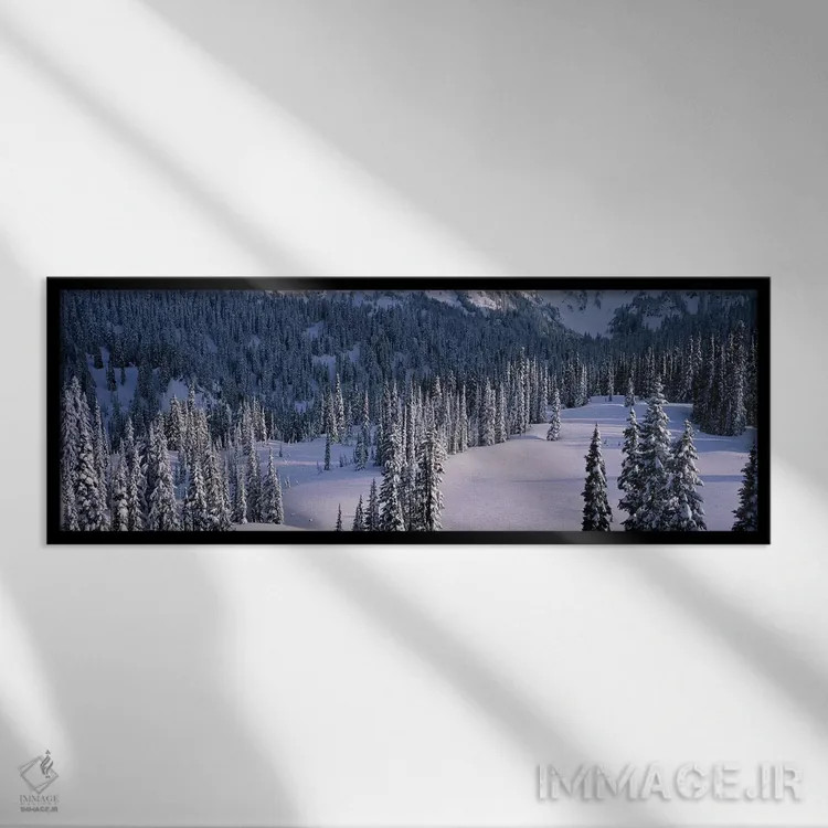 تابلو Mount Rainier National Park, Washington State, USA,درختان صنوبر، پارک ملی مونت رینیر، ایالت واشینگتن، آمریکا اثر پانورامیک ایمجز (استودیو عکاسی عریض) - نمای قابدار مشکی