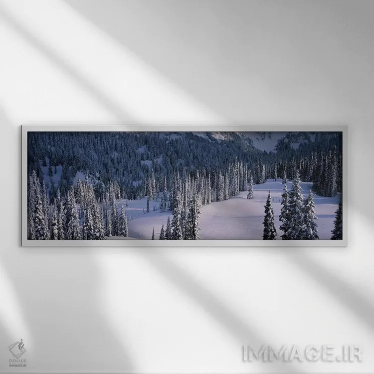 تابلو Mount Rainier National Park, Washington State, USA,درختان صنوبر، پارک ملی مونت رینیر، ایالت واشینگتن، آمریکا اثر پانورامیک ایمجز (استودیو عکاسی عریض) - نمای قابدار سفید