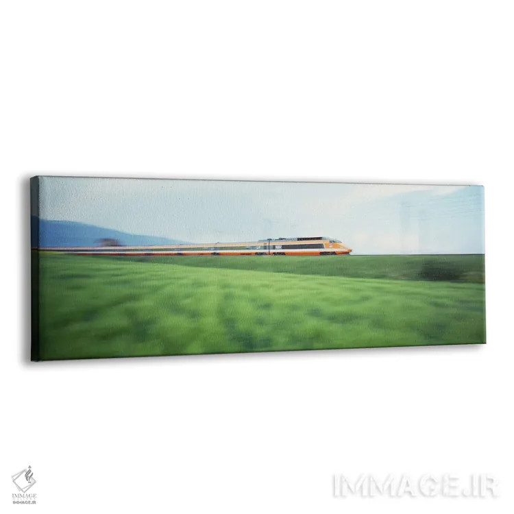 تابلو قطار سریعالسیر TGV در حال عبور از علفزار اثر پانورامیک ایمجز (استودیو عکاسی عریض) - نمای پرسپکتیو محصول
