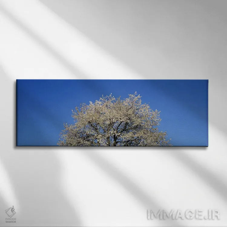 تابلو Switzerland,شکوفههای گیلاس، سوئیس اثر پانورامیک ایمجز (استودیو عکاسی عریض) - نمای روبهرو روی دیوار