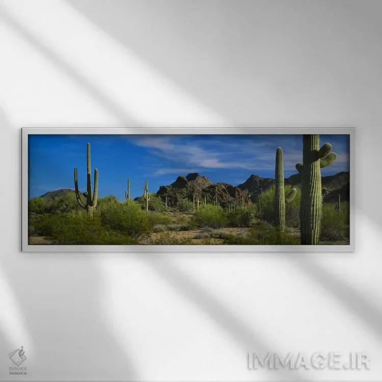 تابلو Organ Pipe Cactus National Monument, Arizona, USA,چشمانداز بیابانی، پارک ملی کاکتوس اریگان پایپ، آریزونا، ایالات متحده آمریکا اثر پانورامیک ایمجز (استودیو عکاسی عریض) - نمای قابدار سفید
