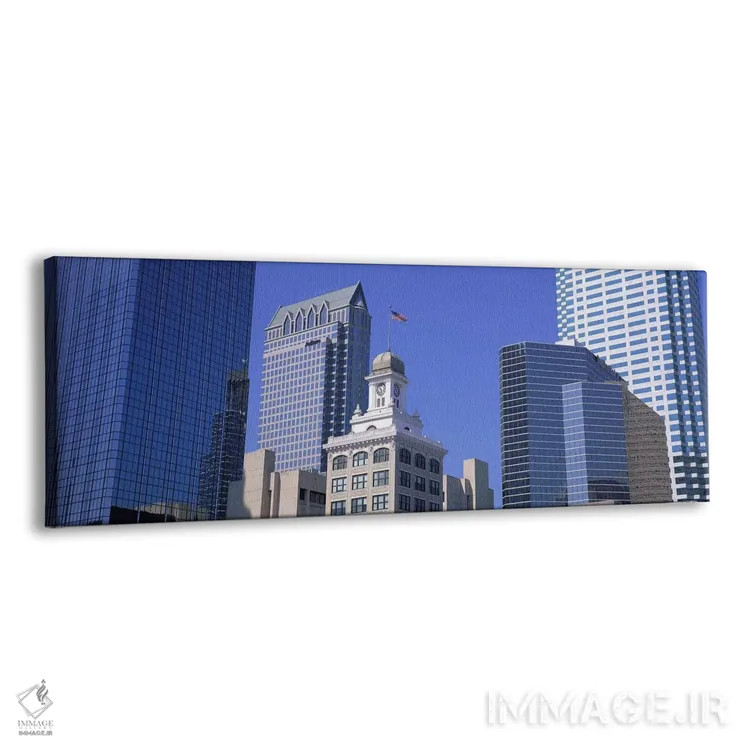 تابلو نمای شهری ساختمان قدیمی شهرداری، تامپا، فلوریدا اثر پانورامیک ایمجز (استودیو عکاسی عریض) - نمای پرسپکتیو محصول