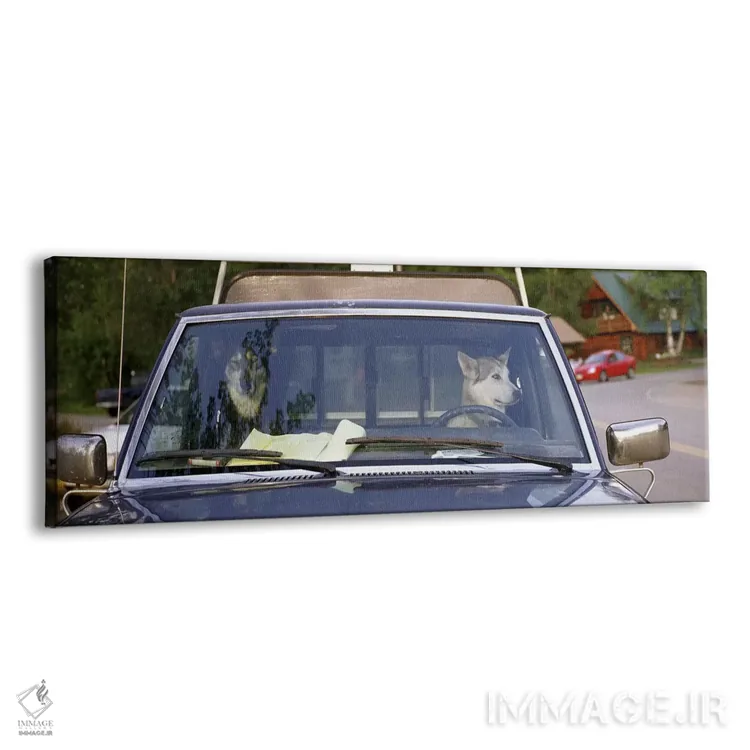 تابلو Talkeetna, Alaska, USA,نمای نزدیک از دو سگ داخل وانت، خیابان اصلی، تالکیتنا، آلاسکا، ایالات متحده آمریکا اثر پانورامیک ایمجز (استودیو عکاسی عریض) - نمای پرسپکتیو محصول