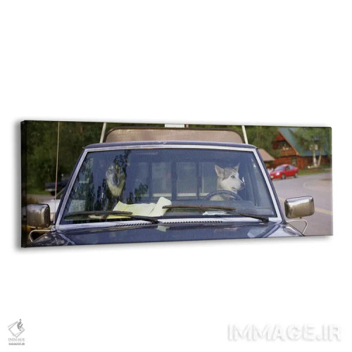 تابلو Talkeetna, Alaska, USA,نمای نزدیک از دو سگ داخل وانت، خیابان اصلی، تالکیتنا، آلاسکا، ایالات متحده آمریکا اثر پانورامیک ایمجز (استودیو عکاسی عریض) - نمای پرسپکتیو محصول