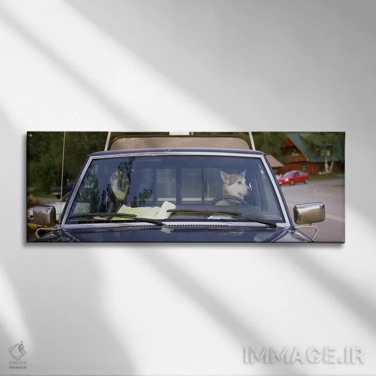 تابلو Talkeetna, Alaska, USA,نمای نزدیک از دو سگ داخل وانت، خیابان اصلی، تالکیتنا، آلاسکا، ایالات متحده آمریکا اثر پانورامیک ایمجز (استودیو عکاسی عریض) - نمای روبهرو روی دیوار