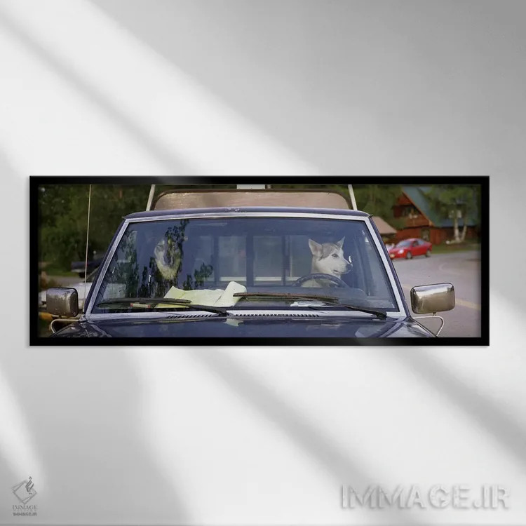 تابلو Talkeetna, Alaska, USA,نمای نزدیک از دو سگ داخل وانت، خیابان اصلی، تالکیتنا، آلاسکا، ایالات متحده آمریکا اثر پانورامیک ایمجز (استودیو عکاسی عریض) - نمای قابدار مشکی