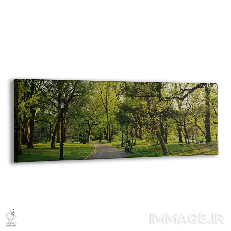 تابلو Central Park, NYC, New York City, New York State, USA,درختان در پارک، پارک مرکزی (سنترال پارک)، نیویورک سیتی، ایالت نیویورک، ایالات متحده آمریکا اثر پانورامیک ایمجز (استودیو عکاسی عریض) - نمای پرسپکتیو محصول