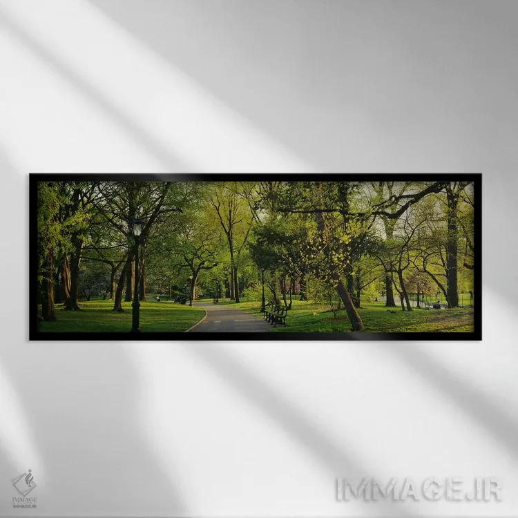 تابلو Central Park, NYC, New York City, New York State, USA,درختان در پارک، پارک مرکزی (سنترال پارک)، نیویورک سیتی، ایالت نیویورک، ایالات متحده آمریکا اثر پانورامیک ایمجز (استودیو عکاسی عریض) - نمای قابدار مشکی