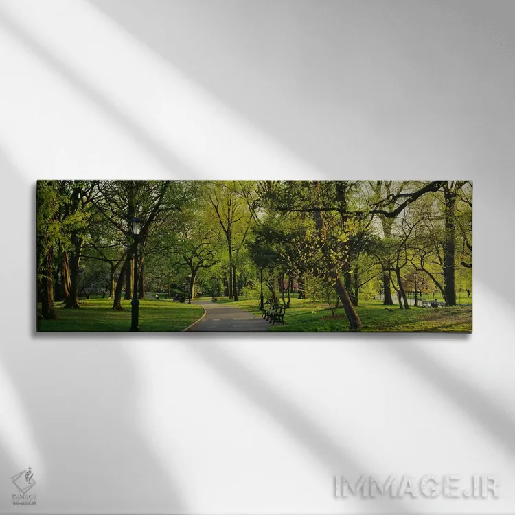 تابلو Central Park, NYC, New York City, New York State, USA,درختان در پارک، پارک مرکزی (سنترال پارک)، نیویورک سیتی، ایالت نیویورک، ایالات متحده آمریکا اثر پانورامیک ایمجز (استودیو عکاسی عریض) - نمای روبهرو روی دیوار