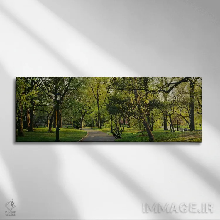 تابلو Central Park, NYC, New York City, New York State, USA,درختان در پارک، پارک مرکزی (سنترال پارک)، نیویورک سیتی، ایالت نیویورک، ایالات متحده آمریکا اثر پانورامیک ایمجز (استودیو عکاسی عریض) - نمای روبهرو روی دیوار