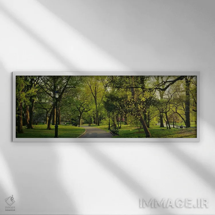 تابلو Central Park, NYC, New York City, New York State, USA,درختان در پارک، پارک مرکزی (سنترال پارک)، نیویورک سیتی، ایالت نیویورک، ایالات متحده آمریکا اثر پانورامیک ایمجز (استودیو عکاسی عریض) - نمای قابدار سفید