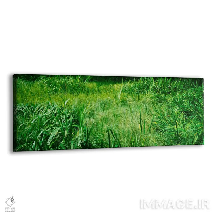 تابلو England,چمن در باتلاق، انگلستان اثر پانورامیک ایمجز (استودیو عکاسی عریض) - نمای پرسپکتیو محصول